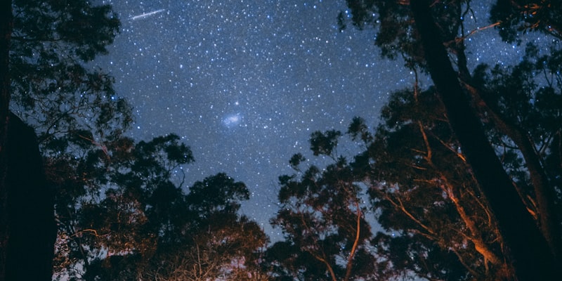 家庭在森林中享受舒适露营的温馨画面